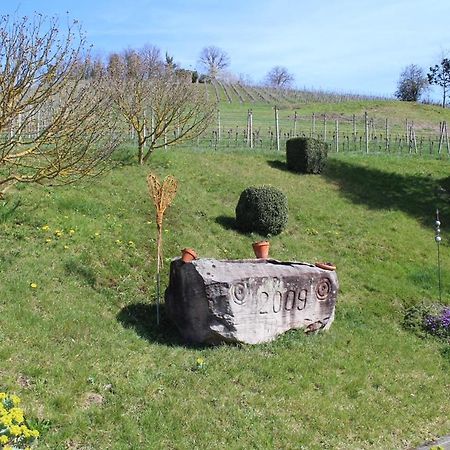 Ferienwohnung Am Weinberg Oberkirch  Ngoại thất bức ảnh